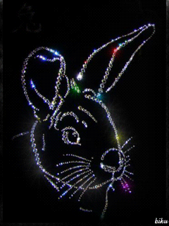 rabbit face Swarovski design