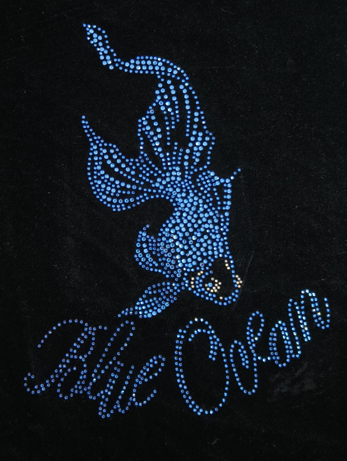 blue ocean stone design